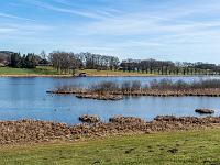 Blick vom Westuferweg über den See zur Eichenalle am Ostufer